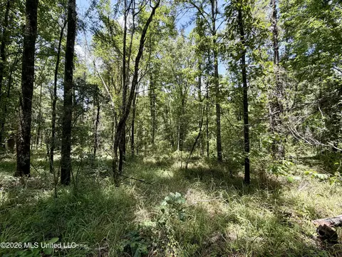 00 Yandell Rd, Canton, MS 39046 photo 5
