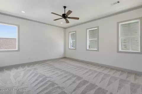 Other - 256 Arbor Trl, Brandon, MS 39047 photo 11 of 12