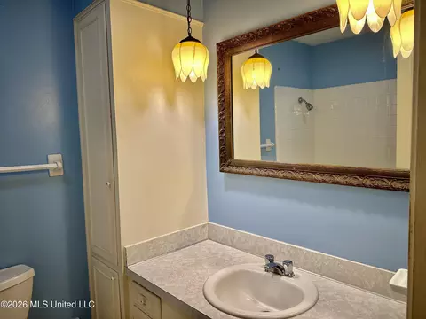 Bath - 321 Sharon Hills Dr, Jackson, MS 39212 photo 1 of 2