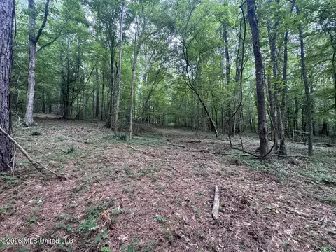 21 Pheasant Rd, Roxie, MS 39661 photo 24