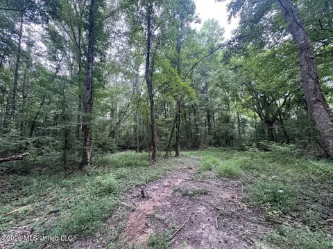 21 Pheasant Rd, Roxie, MS 39661 photo 19