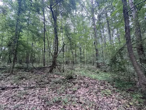21 Pheasant Rd, Roxie, MS 39661 photo 22