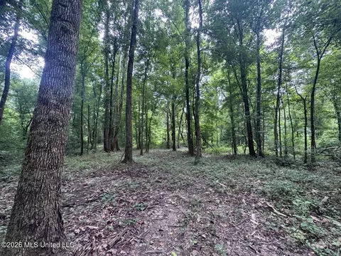 21 Pheasant Rd, Roxie, MS 39661 photo 29
