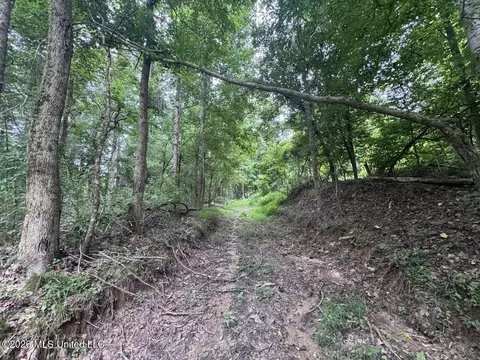 21 Pheasant Rd, Roxie, MS 39661 photo 18