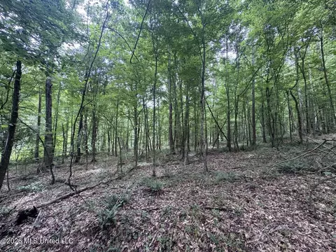 21 Pheasant Rd, Roxie, MS 39661 photo 27