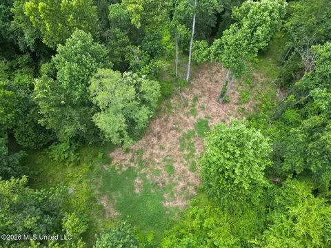 21 Pheasant Rd, Roxie, MS 39661 photo 13