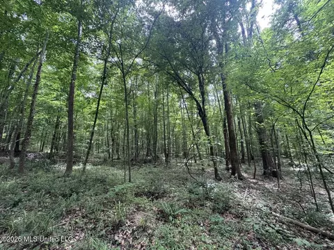 21 Pheasant Rd, Roxie, MS 39661 photo 28