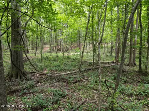 21 Pheasant Rd, Roxie, MS 39661 photo 7