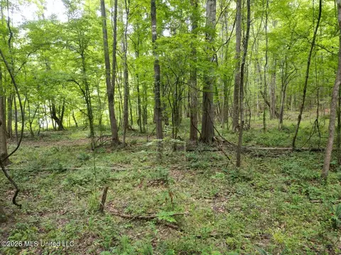 21 Pheasant Rd, Roxie, MS 39661 photo 6