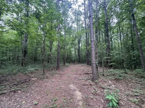 21 Pheasant Rd, Roxie, MS 39661 photo 21