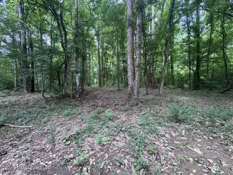 21 Pheasant Rd, Roxie, MS 39661 photo 30