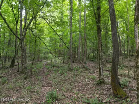 21 Pheasant Rd, Roxie, MS 39661 photo 10