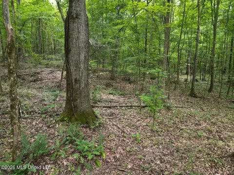 21 Pheasant Rd, Roxie, MS 39661 photo 9