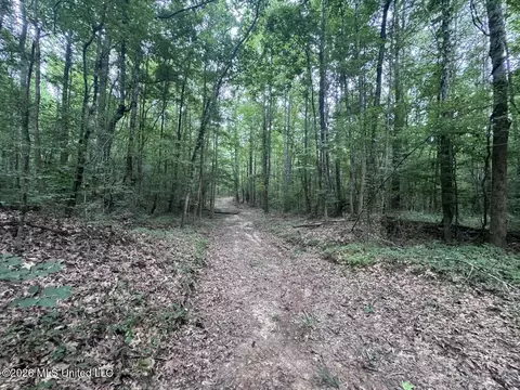 21 Pheasant Rd, Roxie, MS 39661 photo 20