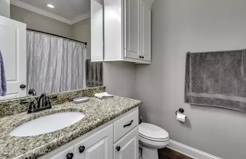 Bath - 303 Ridge Pointe Dr, Brandon, MS 39042 photo 1 of 5