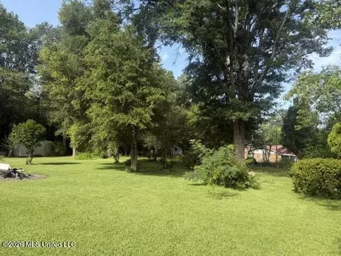 Meadow Lane, Byram, MS 39272 photo 6