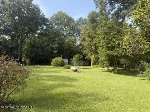 Meadow Lane, Byram, MS 39272 photo 5