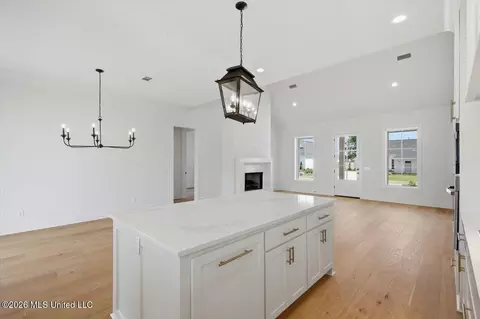 Other - 203 Benners Ln, Madison, MS 39110 photo 2 of 11