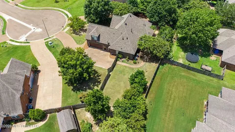 View/Area - 625 Fallbrook Cv, Hernando, MS 38632 photo 4 of 7