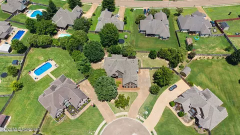 View/Area - 625 Fallbrook Cv, Hernando, MS 38632 photo 5 of 7