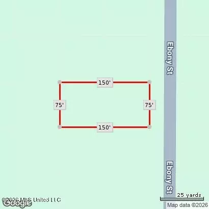 Ebony Street, Ocean Springs, MS 39564
