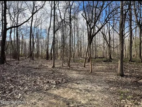 Fogg Road, Hernando, MS 38632 photo 2