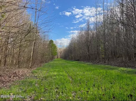 Fogg Road, Hernando, MS 38632 photo 4