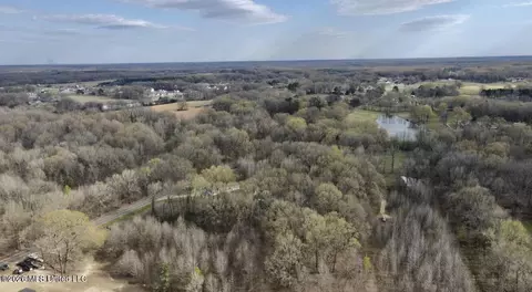 Fogg Road, Hernando, MS 38632 photo 5