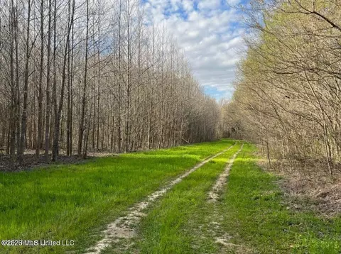 Fogg Road, Hernando, MS 38632 photo 3