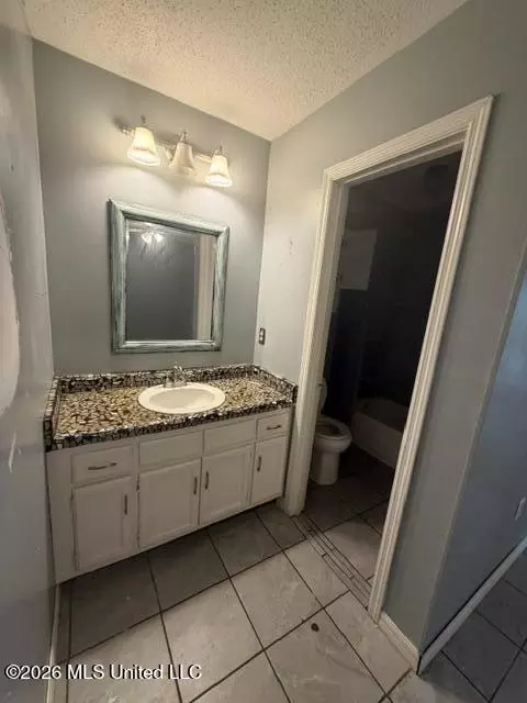 Bath - 113 Cumberland Rd, Brandon, MS 39047 photo 3 of 3