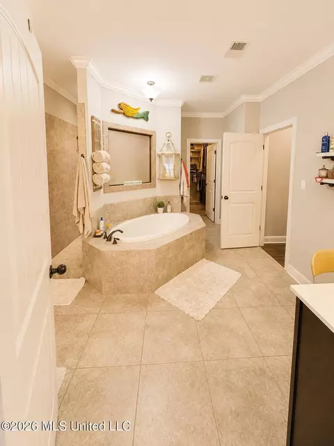 Bath - 3425 Tates Way, Hernando, MS 38632 photo 1 of 4