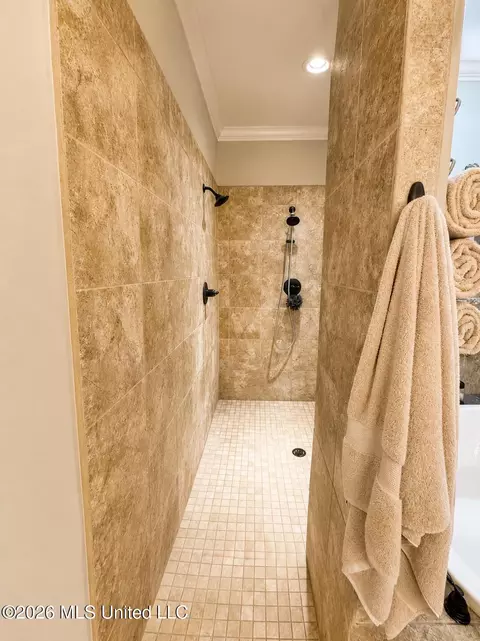 Bath - 3425 Tates Way, Hernando, MS 38632 photo 3 of 4