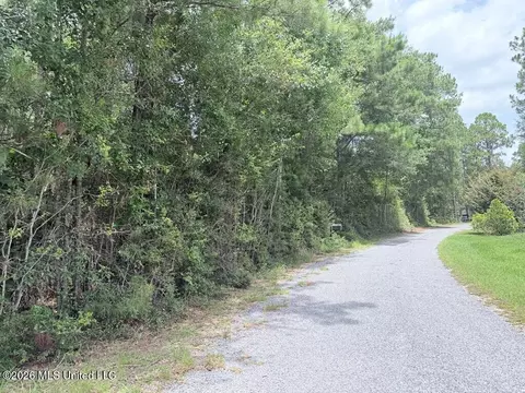 Flurry Drive, Perkinston, MS 39573 photo 10
