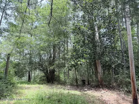 Flurry Drive, Perkinston, MS 39573 photo 8