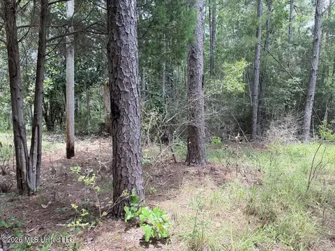 Flurry Drive, Perkinston, MS 39573 photo 7
