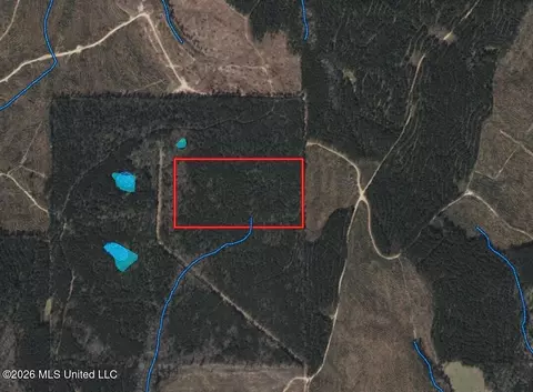 00 Pine Grove Ln, Wesson, MS 39191 photo 3