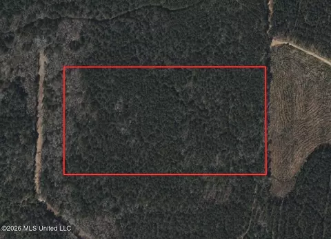 00 Pine Grove Ln, Wesson, MS 39191 photo 2