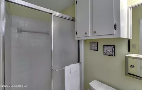 Bath - 245 Mackey Dr, Madison, MS 39110 photo 2 of 6