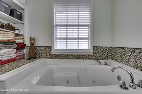 Bath - 245 Mackey Dr, Madison, MS 39110 photo 4 of 6