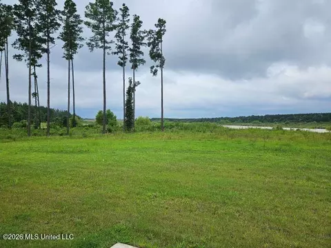 232 Lost Oak Ln, Brandon, MS 39047 photo 27