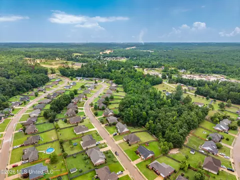 View/Area - 229 Birch Tree Loop, Oxford, MS 38655 photo 6 of 8