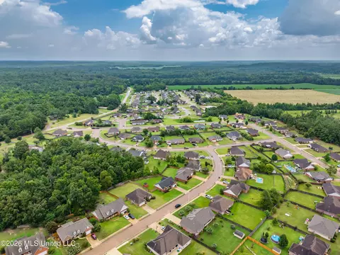 View/Area - 229 Birch Tree Loop, Oxford, MS 38655 photo 5 of 8
