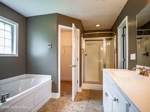 Bath - 229 Birch Tree Loop, Oxford, MS 38655 photo 3 of 5