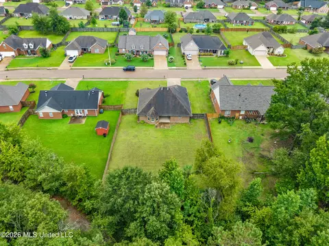 View/Area - 229 Birch Tree Loop, Oxford, MS 38655 photo 3 of 8