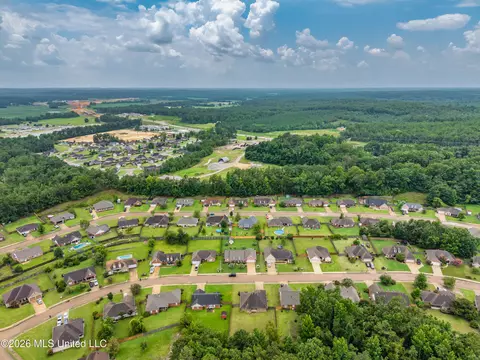 View/Area - 229 Birch Tree Loop, Oxford, MS 38655 photo 7 of 8