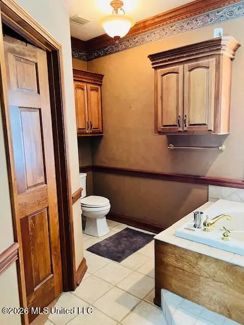 Bath - 537 N Springlake Cir, Terry, MS 39170 photo 5 of 5