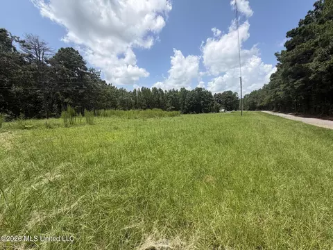 1884 Ranch Town Rd, Hickory Flat, MS 38633 photo 27