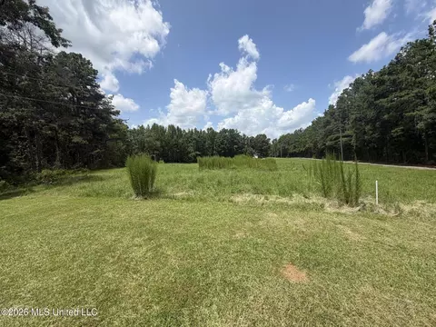 1884 Ranch Town Rd, Hickory Flat, MS 38633 photo 28