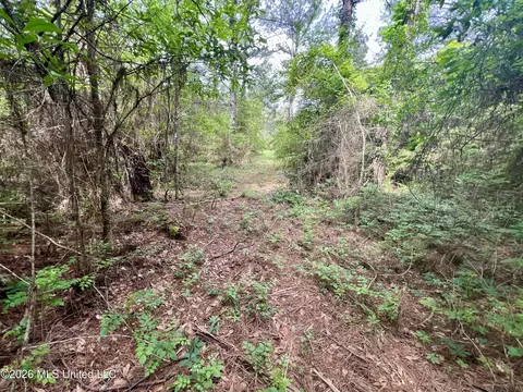 NE Highway 44, Summit, MS 39666 photo 5