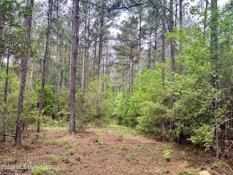 NE Highway 44, Summit, MS 39666 photo 3